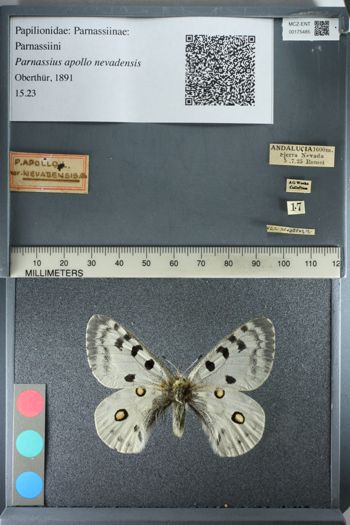 Media type: image;   Entomology 175485